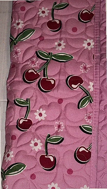 2 Piece Set Betsey Johnson Reversible Pink Twin Quilt Cherries Blanket Cherry